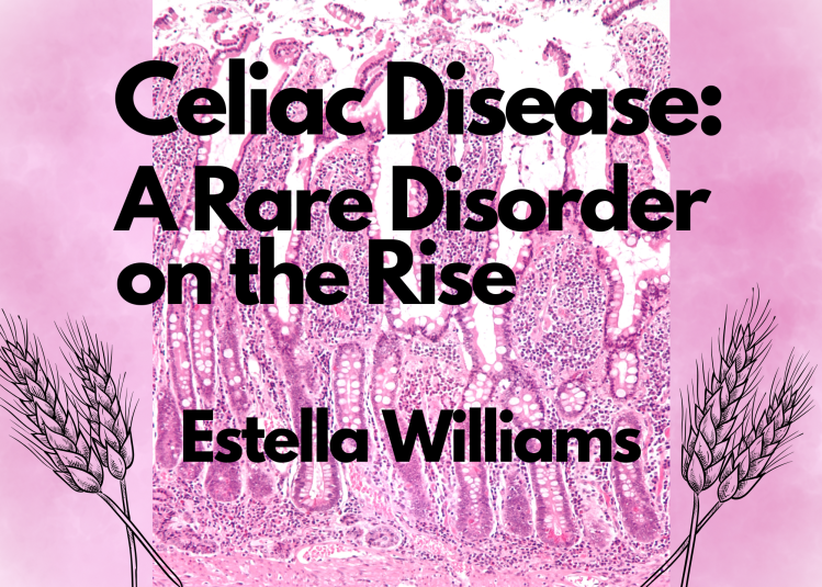 Celiac Disease: A Rare Disorder on the Rise